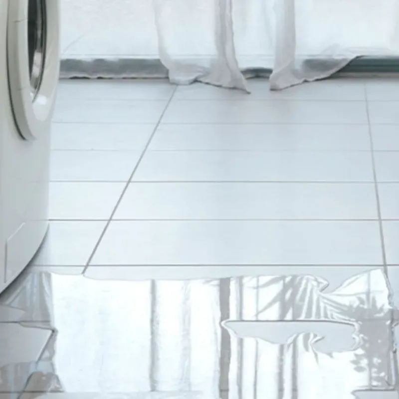 Appliance Leak Cleanup in Geneva, WA