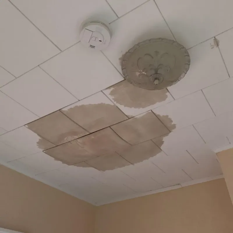 Ceiling Water Damage Repair in Geneva, WA